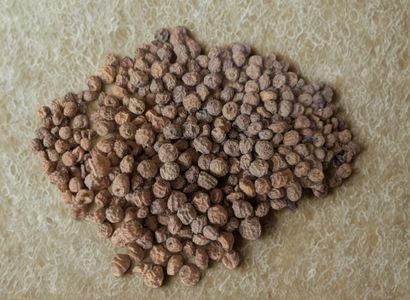 Tiger Nuts