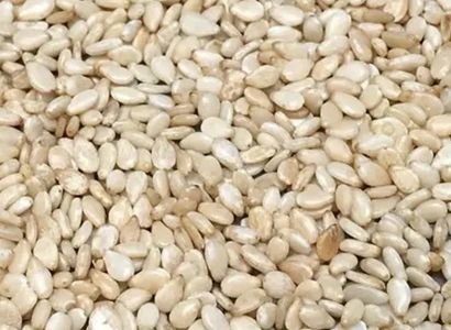 Sesame Seeds